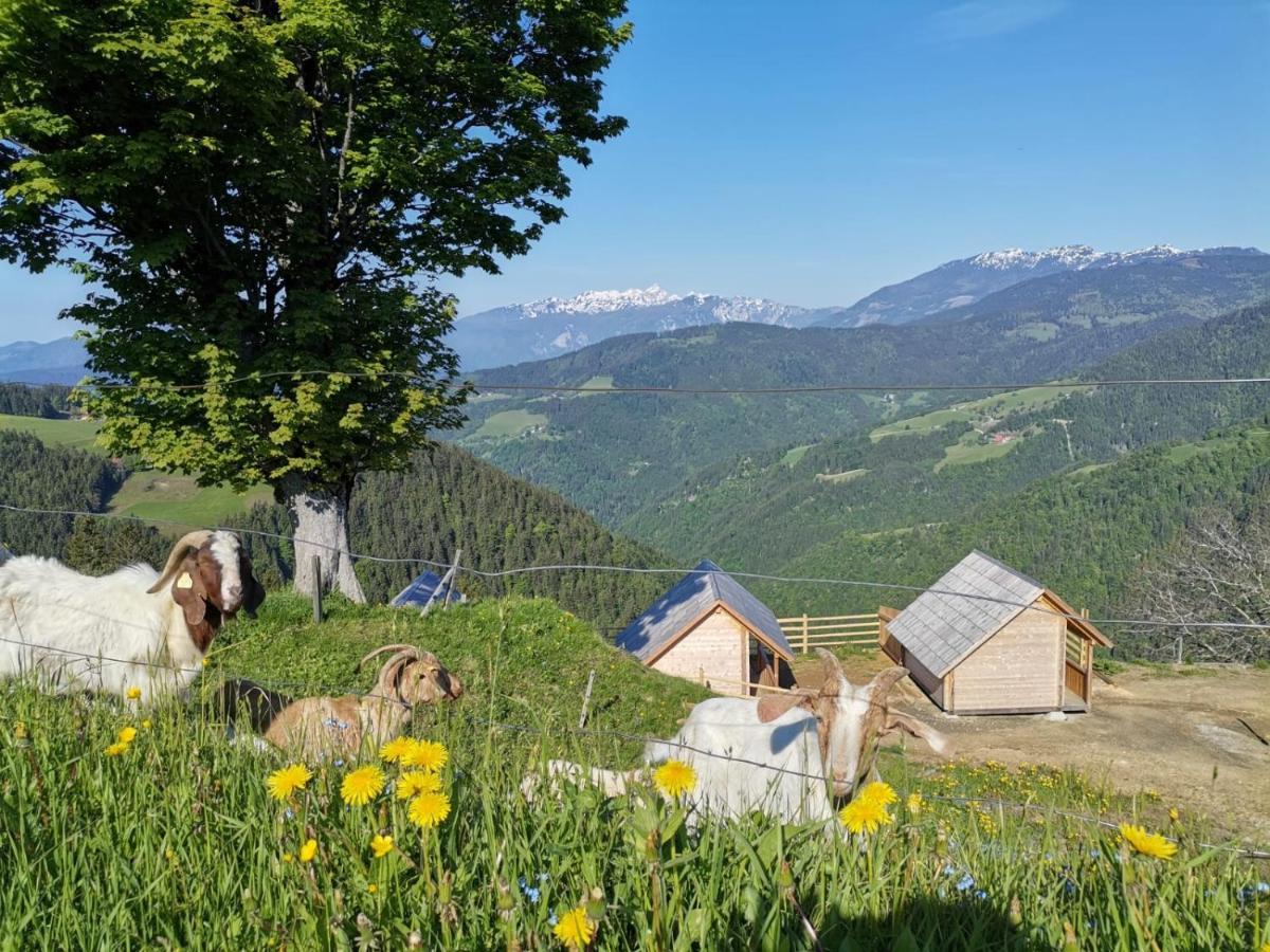 Farmstay&glamping Visocnik *