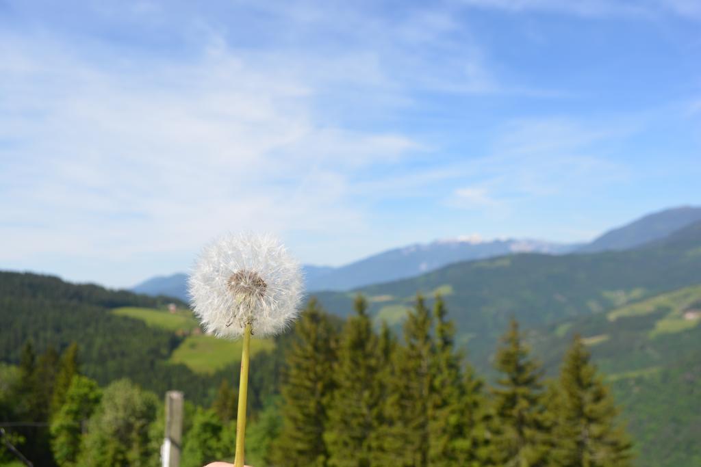 Séjour à la ferme Farmstay&glamping Visocnik *