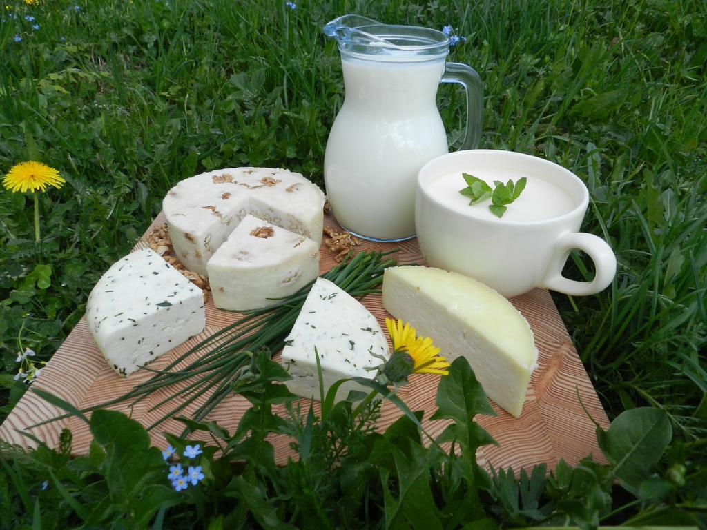 Farmstay&glamping Visocnik