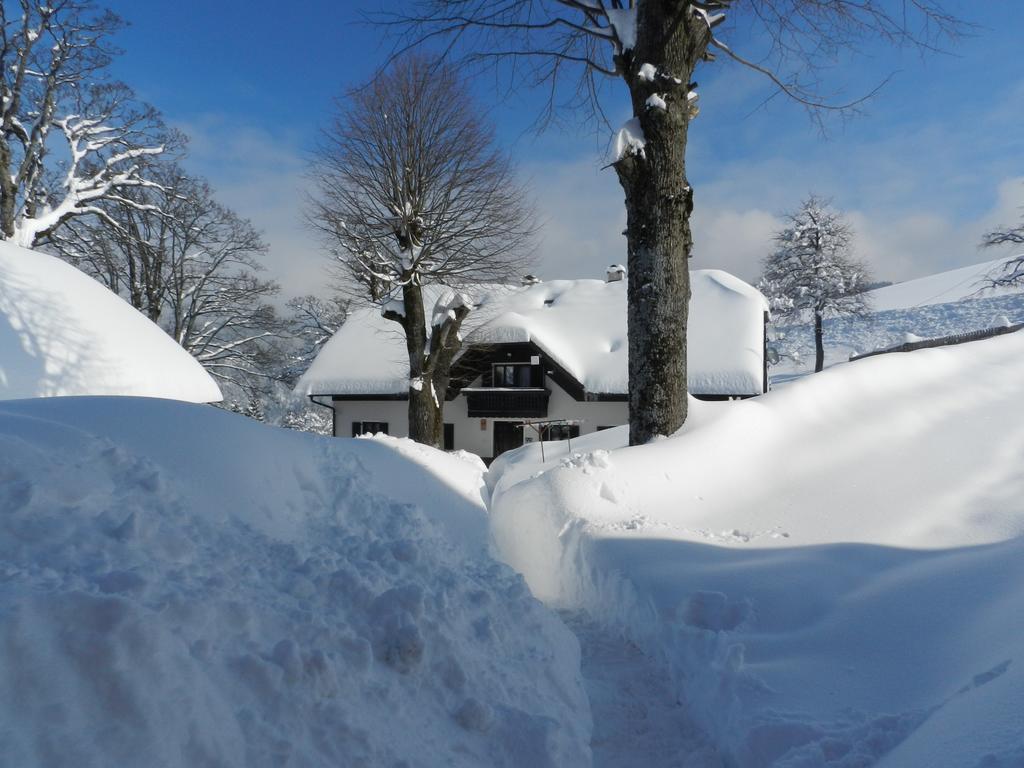 Farmstay&glamping Visocnik