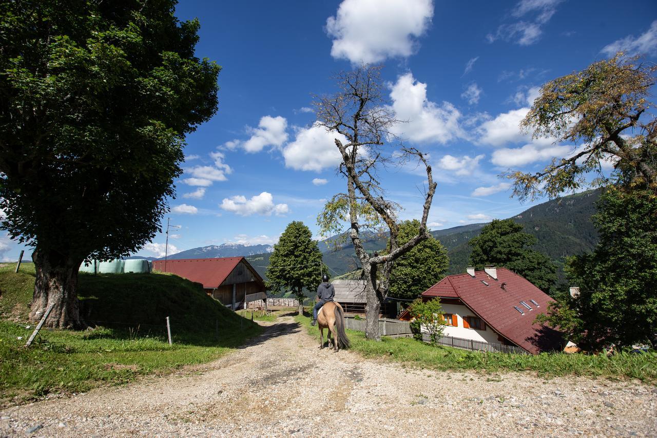 Farmstay&glamping Visocnik Ljubno