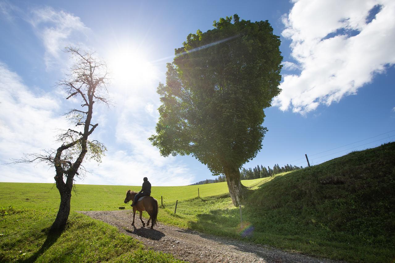 Farmstay&glamping Visocnik * Ljubno