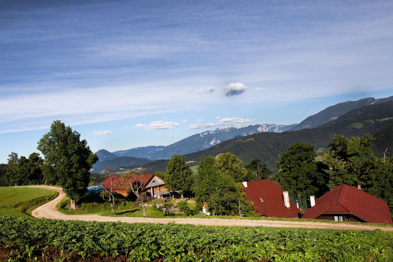 Farmstay&glamping Visocnik