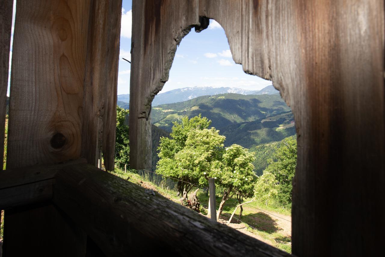 Farmstay&glamping Visocnik