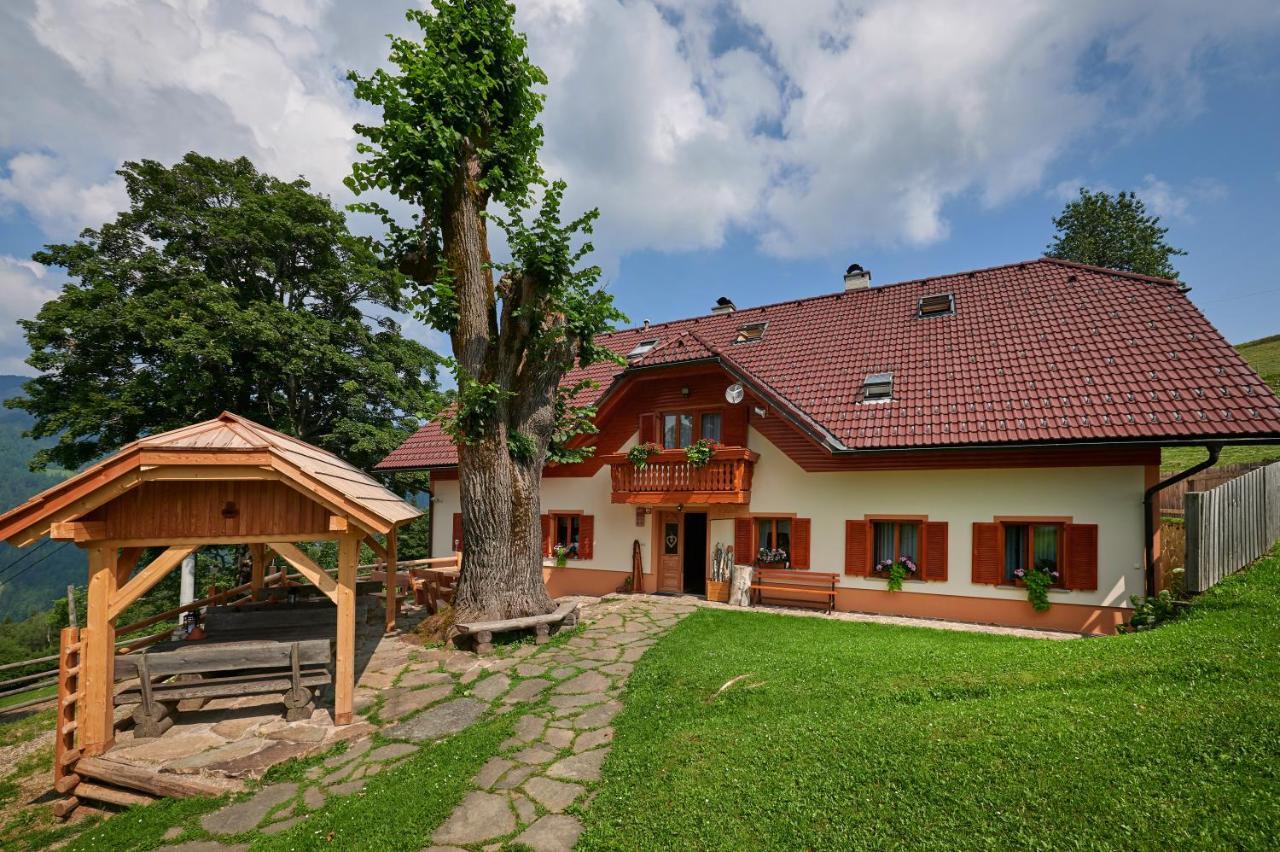 Farmstay&glamping Visocnik * Ljubno
