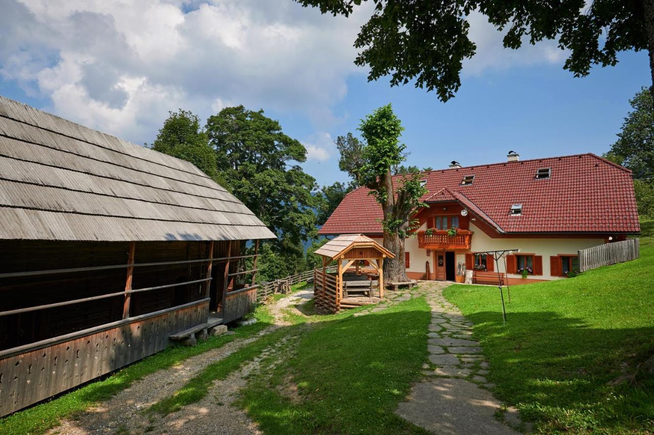 Farmstay&glamping Visocnik
