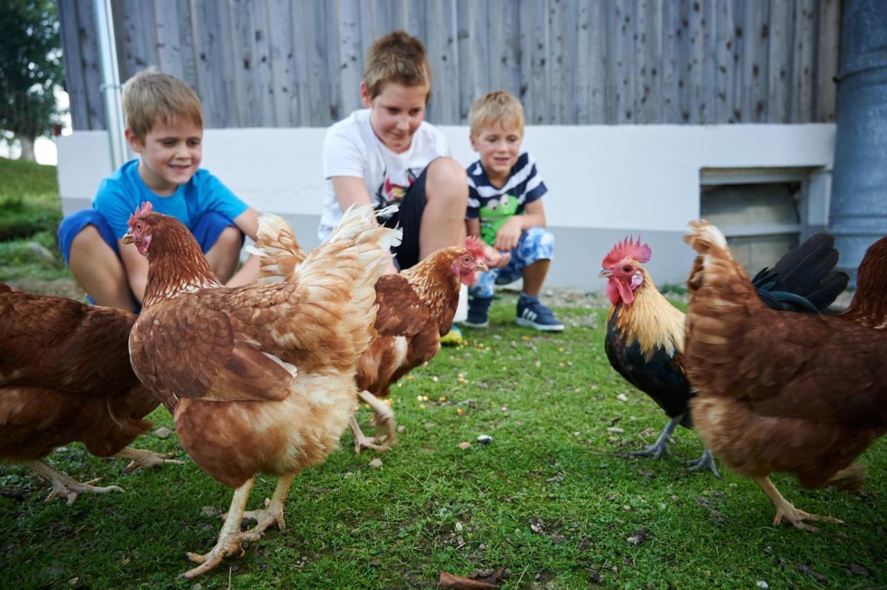 Farmstay&glamping Visocnik Ljubno
