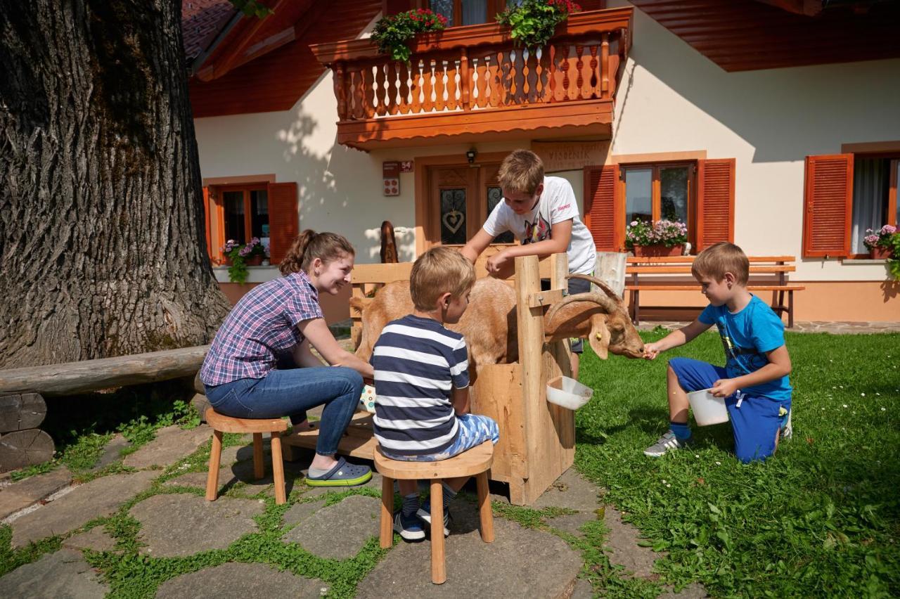 Farmstay&glamping Visocnik *