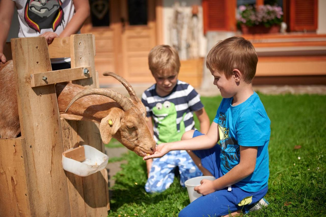 Séjour à la ferme Farmstay&glamping Visocnik